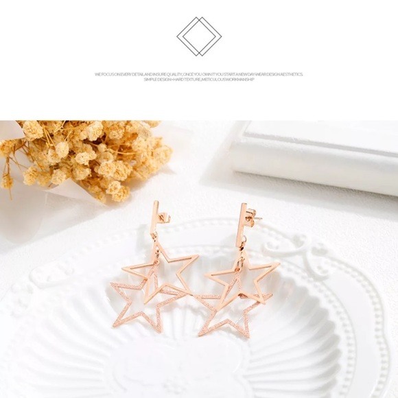 3/$30 Ros Gld Plated Stainless Steel Star Earrings - Picture 4 of 5